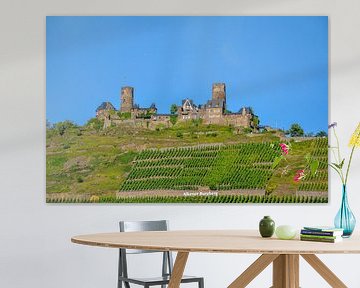 Die mit Trauben bepflanzte Burg Thurant im Hunsrück auf dem Alkener Burgberg bei blauem Himmel von LuCreator