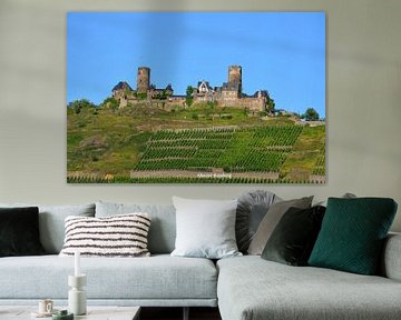 Thurant castle planted with grapes in Hunsrück on Alken castle hill under blue sky by LuCreator