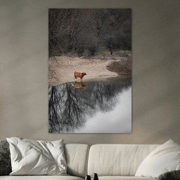 The pensive Scottish Highlander