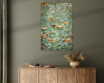Butterfly in sea of flowers grey green by Martijn Koevoets