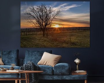 Wijngaard en boom bij zonsondergang van Alexander Kiessling