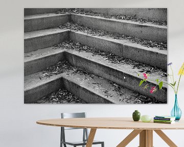 Nature morte réelle - escaliers avec feuilles en noir et blanc sur Lilian Bisschop