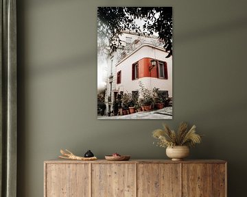 Farbenfrohes Haus mit Pflanzen - Botanischer Kunstdruck von Linn Fotografie