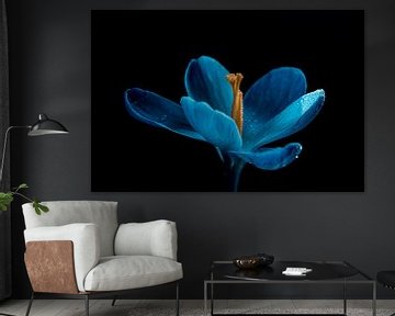 Bloemenkunst, blauwe touch in het voorjaar van Jolanda de Jong-Jansen