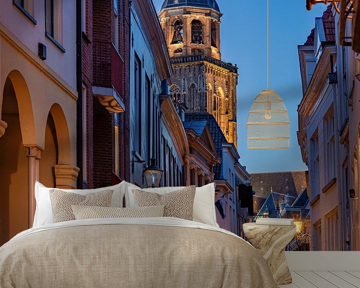 Aperçu de la chambre
