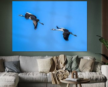 Cranes by Joke Beers-Blom