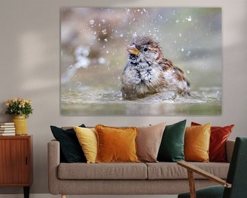 Bathing sparrow by Erik Veltink fotografie