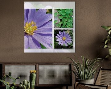 Flower violet van Irene Polak