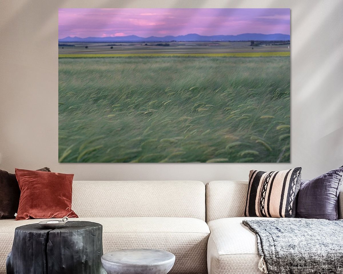 Raumvorschau