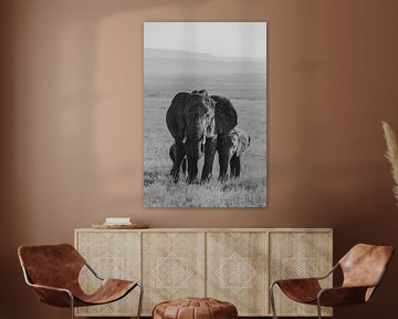 Elephant family | Reisfotografie Tanzania | Wall art | Wanderlust | Fine art print van Alblasfotografie