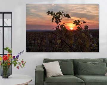 Wijnbladeren bij zonsondergang van Alexander Kiessling