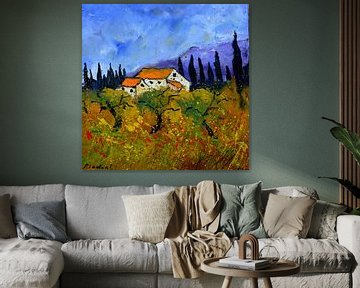 Provence -  4422 sur pol ledent