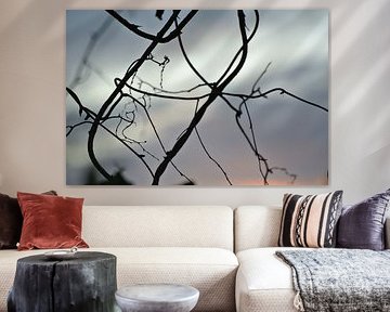 Avondlicht, eveninglight