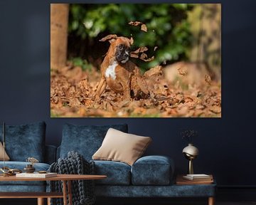 Autumn boxer puppy by gea strucks