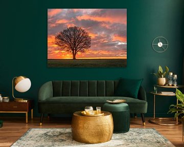 paysage