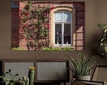 Window with climbing roses