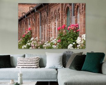 Fenster mit Rosen,  Industriedenkmal Nordwolle