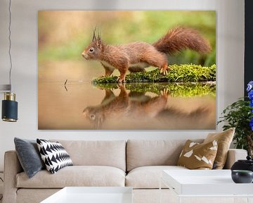 Eichhörnchen am Rande eines Teiches von Erik Veltink