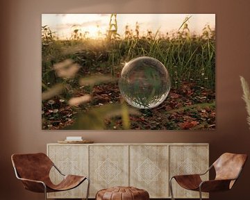 Boule de verre posée sur un tapis de feuilles mortes dans la lumière du soir sur Besa Art