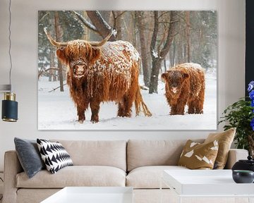 Schotse Hooglander koe en kalf in de sneeuw tijdens de winter van Sjoerd van der Wal