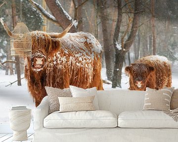 Schotse Hooglander koe en kalf in de sneeuw tijdens de winter van Sjoerd van der Wal Fotografie