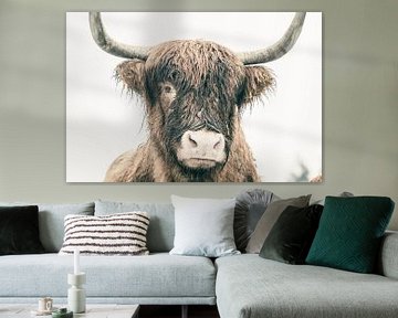Portret van een Schotse Hoogland koe in de sneeuw van Sjoerd van der Wal