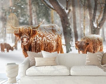 Schotse Hooglander koe en kalf in de sneeuw tijdens de winter van Sjoerd van der Wal Fotografie