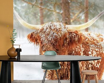 Schotse Hooglander in de sneeuw tijdens de winter van Sjoerd van der Wal Fotografie