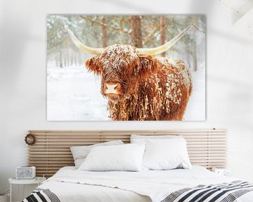 Schottische Highlander-Rinder im Winter im Schnee von Sjoerd van der Wal Fotografie