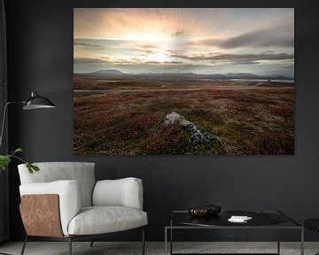 Norwegische Steppe im Femundsmarka-Nationalpark von Marc Hollenberg