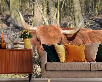 Schottischer Highlander