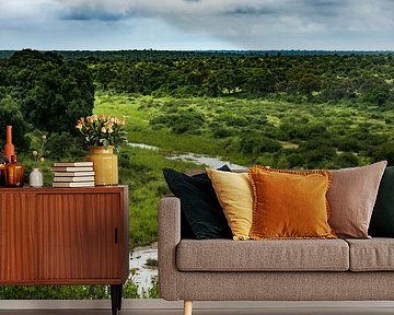 Elephants cross the river in Klaserie Nature Reserve, South Africa by Paula Romein