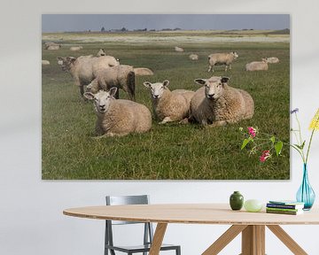 Drie schapen van Gottfried Carls