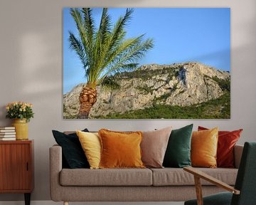 Die felsige, aber grüne Berglandschaft an der Mittelmeerküste Spaniens mit einer Palme im Vordergrun von LuCreator