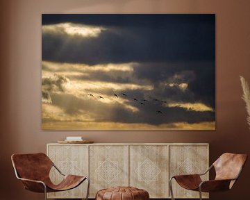 Silhouette of flying flock of geese against dramatic dky with storm clouds and golden sunrays by Robert Ruidl