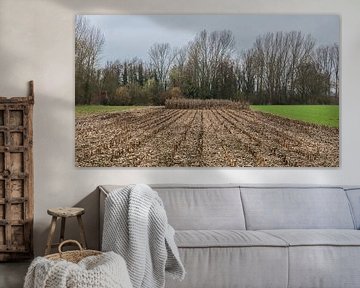 Des prairies vertes, des lignes de labour et une rangée de peupliers dénudés à l'entrée de la ville. sur Werner Lerooy