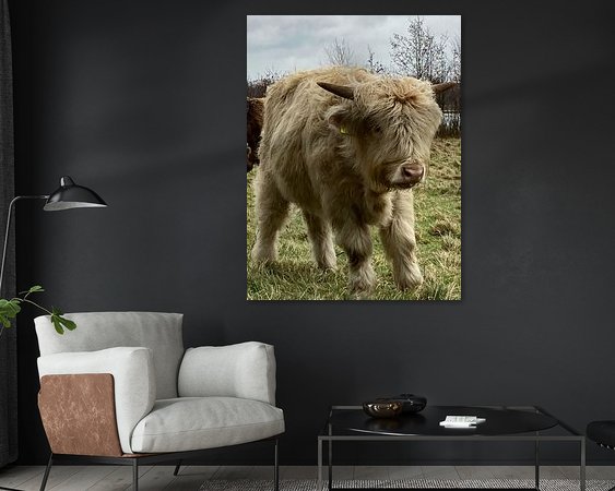Raumvorschau