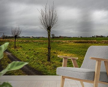 Polder view with trees