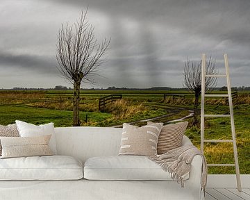 Polder view with trees