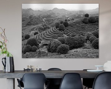 Tea plantation in China by Han van der Staaij