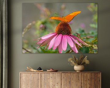 Papillon de la passiflore orange sur un tournesol rouge. sur Jolanda Aalbers