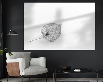 Het eenzame lampionnetje (zwart - wit) van Marjolijn van den Berg