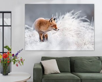 Fuchs im Winterwunderland von Roeselien Raimond