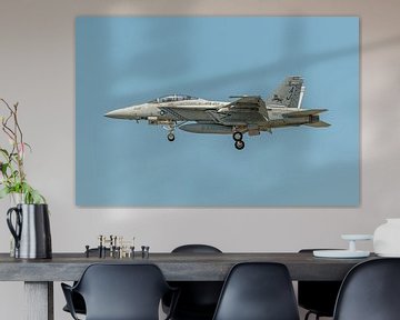 Boeing F/A-18F Super Hornet van VFA-213 Blacklions. van Jaap van den Berg