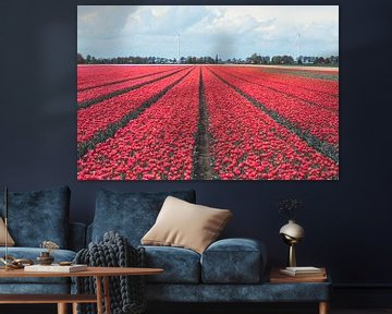 Hollands landschap met roze tulpen veld in Drenthe van Denise Tiggelman