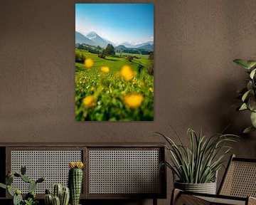 Spring feelings in the Allgäu with snow in the mountains by Leo Schindzielorz