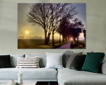 Weg naar het licht