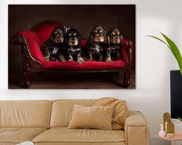 Vier engelse cockerspaniel pups op een rode sofa, stilleven van Leoniek van der Vliet