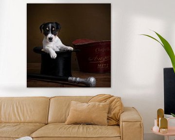 Young jack russel terrier puppy in a top hat by Leoniek van der Vliet