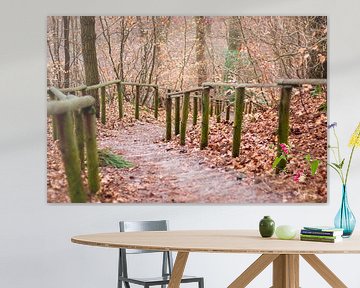 Descente dans une forêt d'automne sur Marjan Schmit Visser